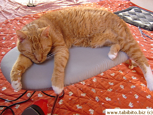 May be he wants to be ironed