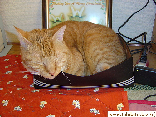 Is your head comfy?
