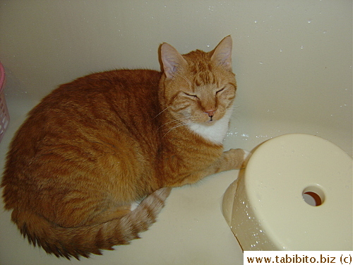 Nothing beats a wet tub to sleep in