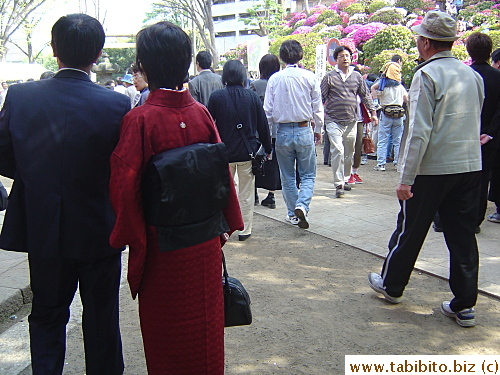 Every Japanese woman should wear a kimono when they visit a shrine if you ask me, so I can take their pictures!