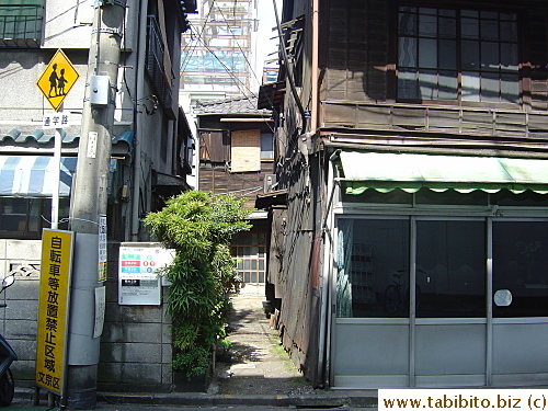 A common sight in Nezu