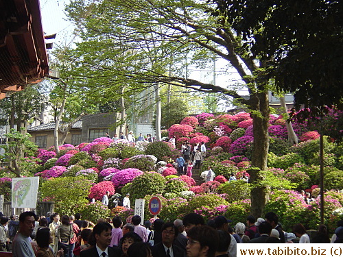 The path that charges 200 yen to walk on it
