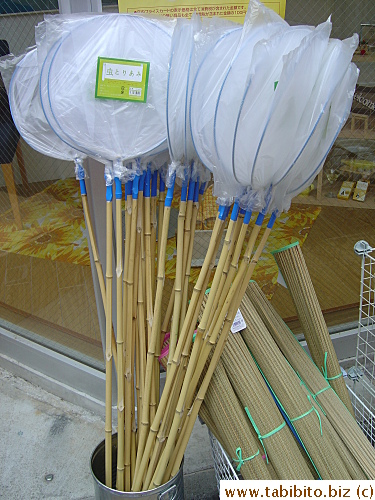 These are essential for some summer fun time for the kids