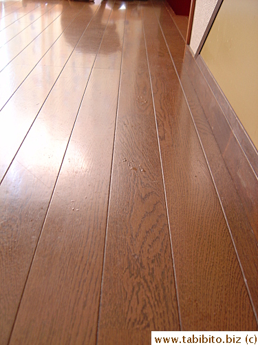 A trail of water paw prints left by Daifoo