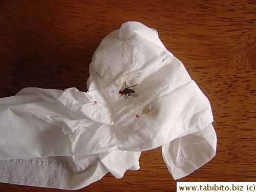 I didn't know flies bleed
