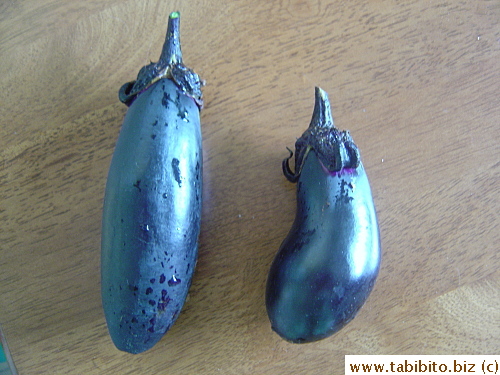 My eggplants, 12cm and 9cm long