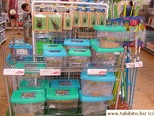Everything you need to keep rhino beetles as pets is for sale here. They even have nets for those who want to catch their own. Rhino beetles magnets on the rack
