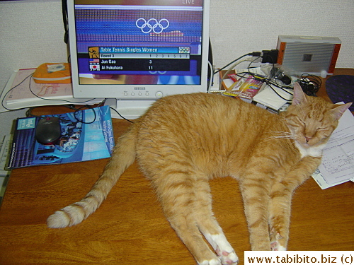 We've been watching the Olympics on my computer