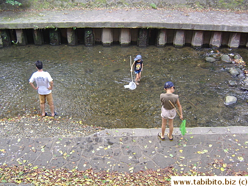 What is there to catch in the shallow water?