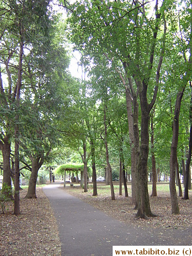 Another path that cuts through a park that lies adjacent to the stream.  I love to ride my bike slowly through all these trees, feels great