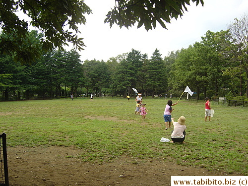 This is the grassy open area that is encircled by the cycle path loop.  Some people are trying to catch dragonflies there