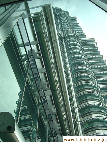 Looking up from the window