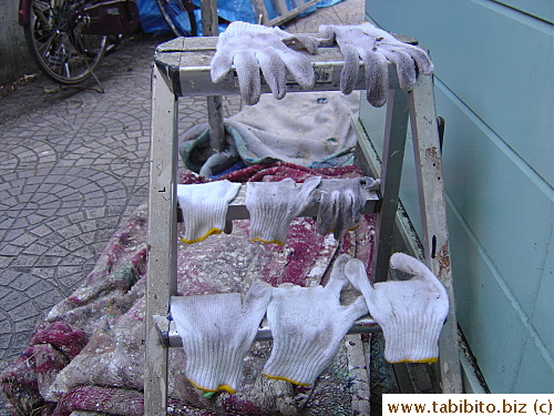 Painters left their gloves to dry on a ladder