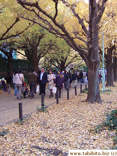 Many families enjoyed a day out viewing the golden Autumn color