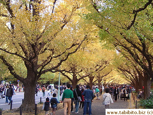 Another picture of the crowd