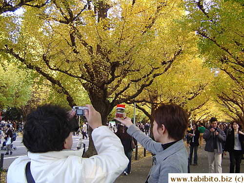 This man tries to take the picture of the toy bird as if it was sitting on a branch