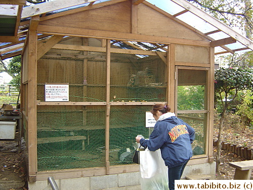 This woman brought a large bag of cabbage leaves to feed the rabbits