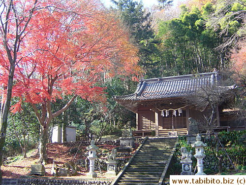 A tiny shrine near Takaosanguchi station. Isn't this picture just beautiful?