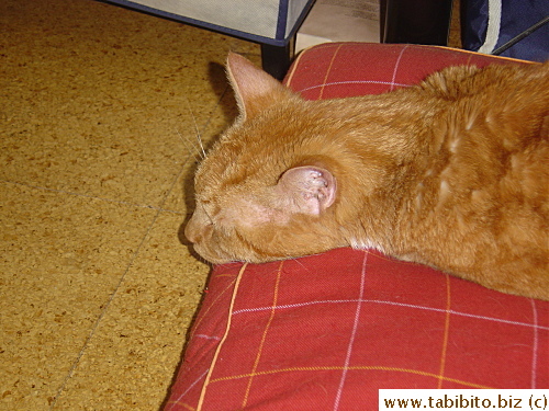 Low lying head