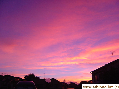 Just take a look at the gorgeous colors!