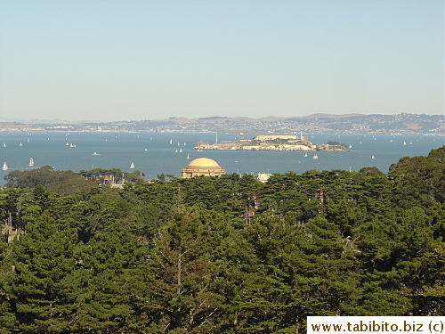 Boats dot the water in San Francisco on a clear sunny day