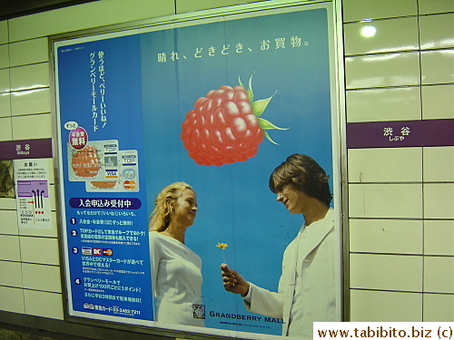 A big poster on the Denentoshi Line advertises Grandberry Mall 