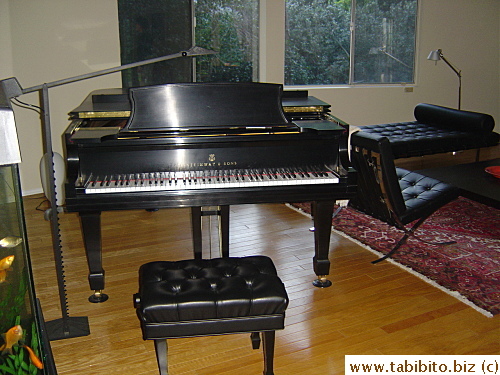 The friend's piano 