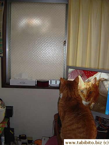 Daifoo is interested in her too