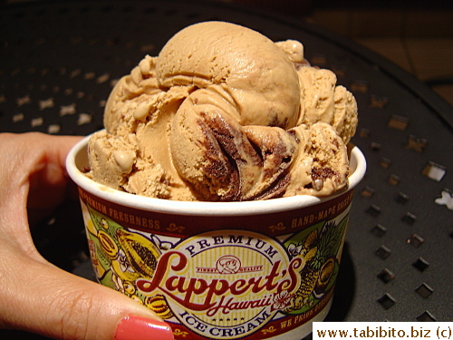 This is two scoops of Kona Lava Java?!  Two scoops in Tokyo means exactly TWO small scoops, what we had would be like 4-5 scoops in Tokyo 