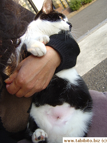 Neegau never likes to be held