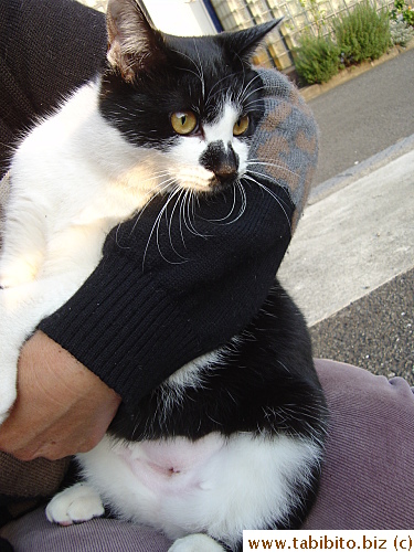 Mrs Y held Neegau for me to take her picture