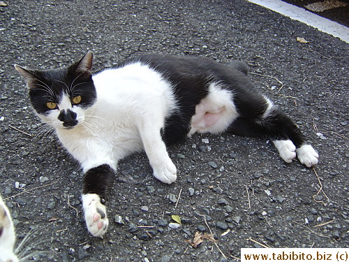 Neegau has a funny face