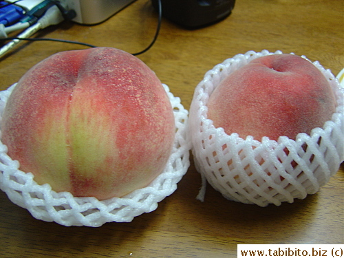 The left one's from a grower who set up a table in our local shrine, the right one from our neighbor