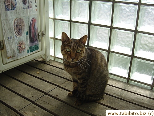 Number Two is pretty timid despite his “manly” appearance