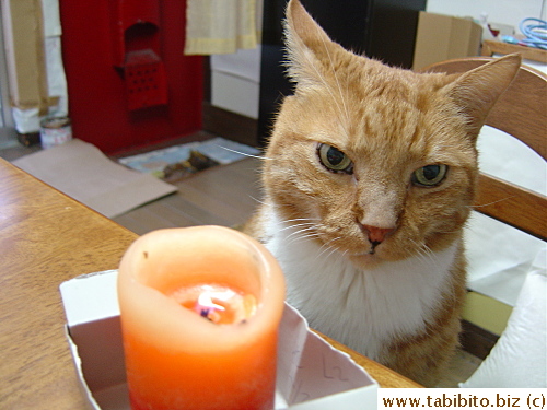 Candle and Daifoo