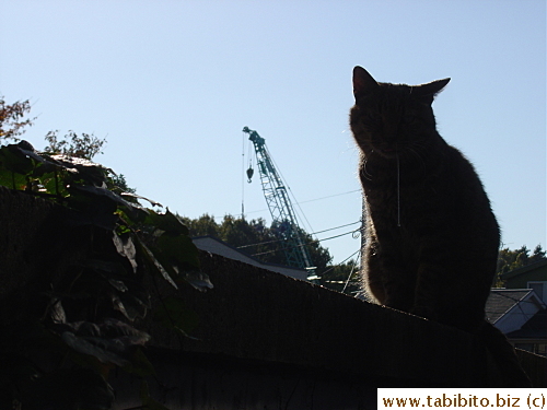 I feel so sorry for him