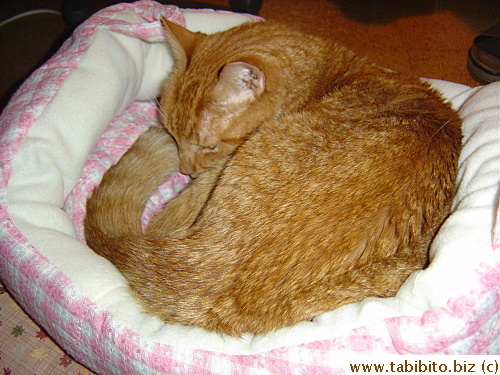 Looks comfy