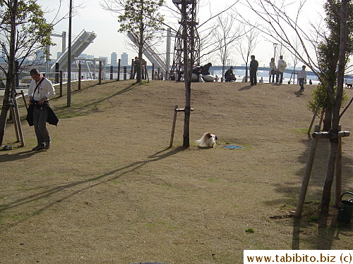 Lawn and grass are scarce in japan