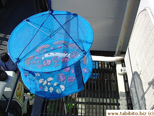 I hung it right in front of the air-conditioner so air is blown to the veggies to help dry them