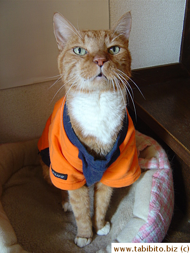 The shirt had become too big for him when he started to drop weight in his later years