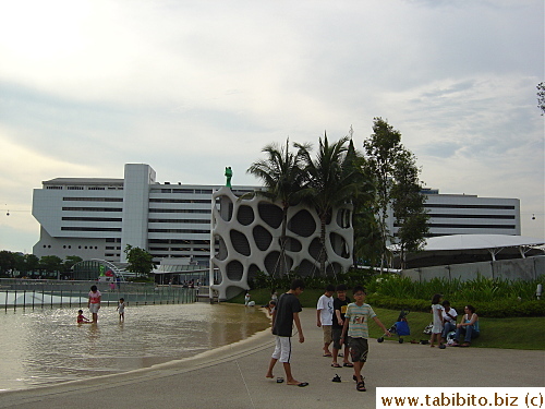 Wading pool for the kids