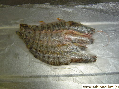 Cover with another sheet, press, squeeze out air, and seal the edges