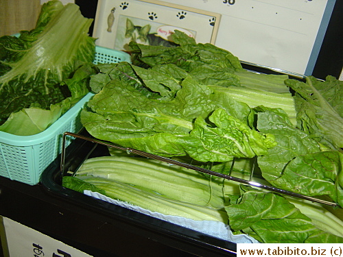 Drying the takana on a rack and colander