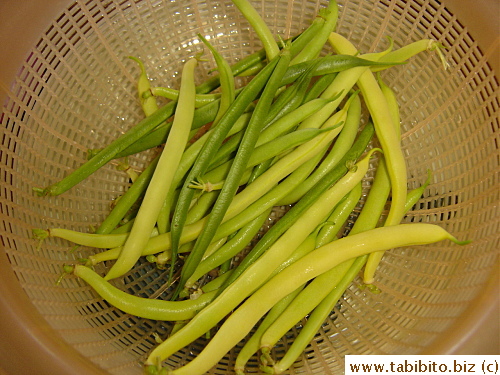 Picked some yellow and green beans for dinner