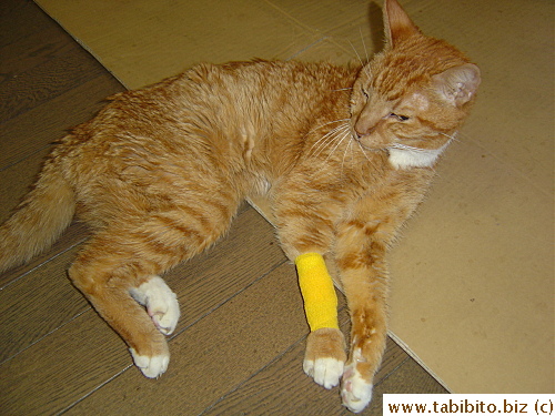 A very good patient