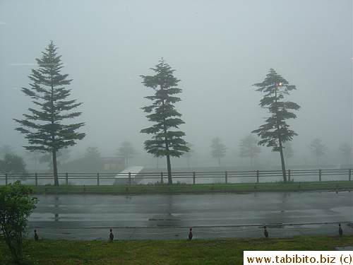 Scenery from the restaurant
