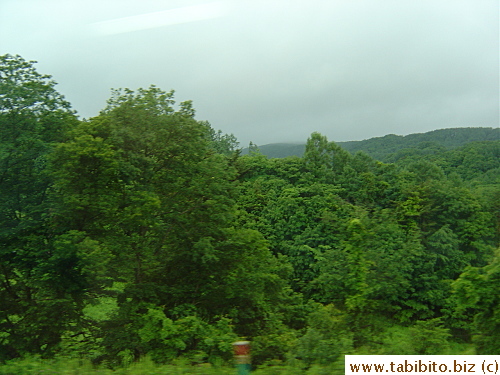 After we left the lunch place, we drove over an hour through lush green hills