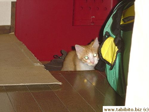 Plays hide-and-seek with himself in it