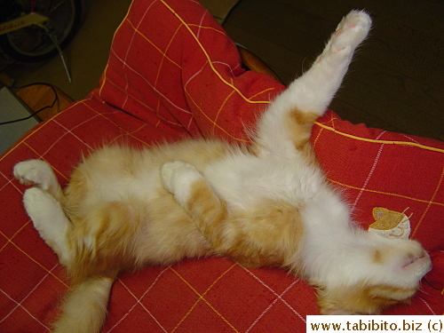 Looks like he's dead!