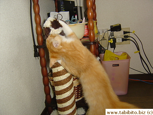 Interested in the dangling ball